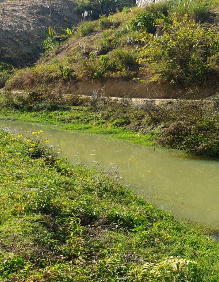 Aitlang River 